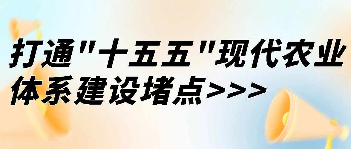 农业新质生产力：打通“十五五”现代农业体系建设堵点