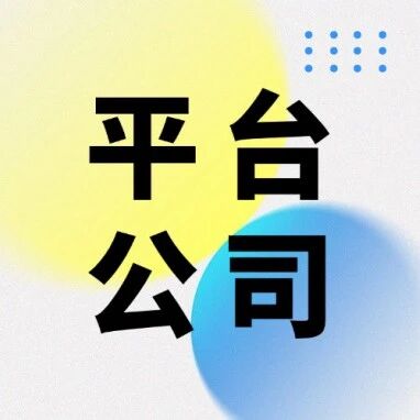 平台公司组织管控咨询服务领域研究：变革、挑战与未来之路（中）