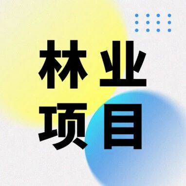 破解林业项目融资难题：四大资金来源与创新整合路径