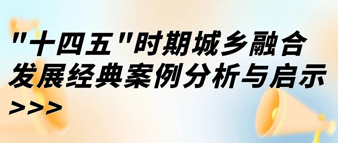 “十四五”时期城乡融合发展经典案例分析与启示