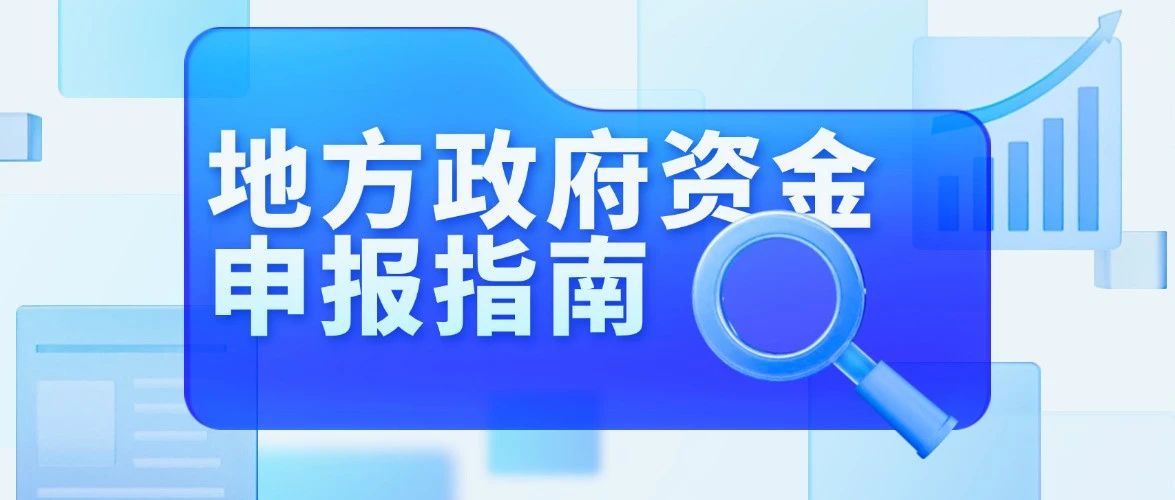 重磅干货！地方政府资金申报指南：2025年政策风向与实操路径深度解析