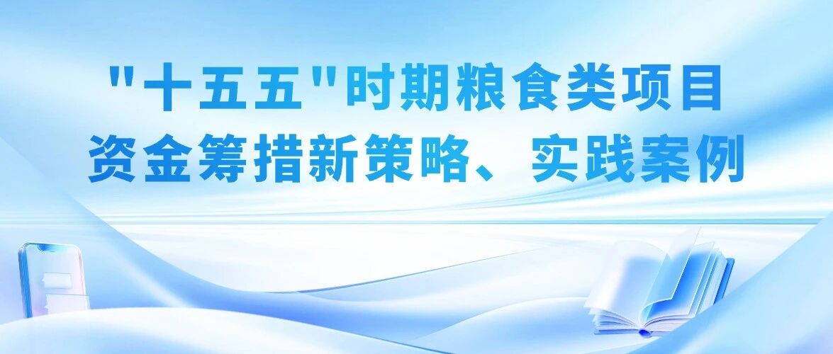 “十五五”时期粮食类项目资金筹措新策略、实践案例与发展启示