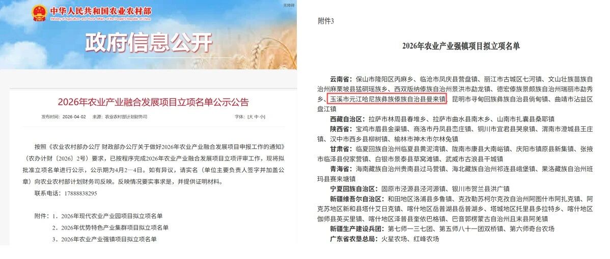 喜报！中建政研集团助力玉溪市元江县曼来镇入选农业农村部2026年农业产业强镇项目拟立项名单